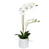 White Orchid Real Touch Arrangement In Ceramic Pot-Kirkland's Home Cheap