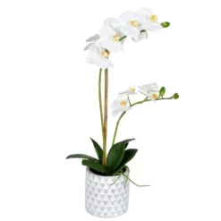 White Orchid Real Touch Arrangement In Ceramic Pot-Kirkland's Home Cheap