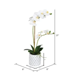 White Orchid Real Touch Arrangement In Ceramic Pot-Kirkland's Home Cheap