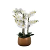 White Real Touch Orchid Arrangement In Gold Pot-Kirkland's Home Best Sale