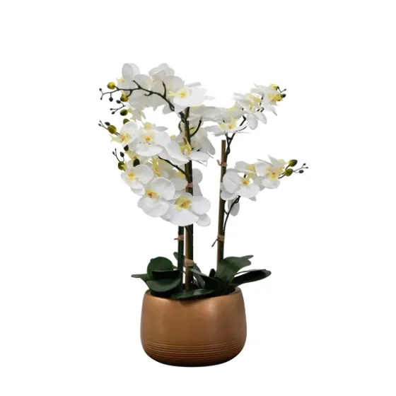 White Real Touch Orchid Arrangement In Gold Pot-Kirkland's Home Best Sale