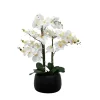 White Real Touch Orchid Arrangement In Black Pot-Kirkland's Home Best Sale