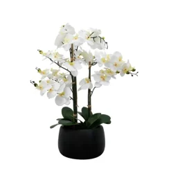 White Real Touch Orchid Arrangement In Black Pot-Kirkland's Home Best Sale