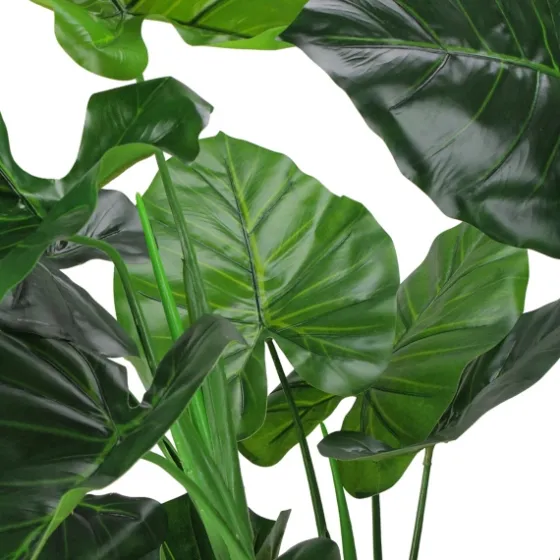 Wide Leaf Taro Plant With Moss-Kirkland's Home Flash Sale