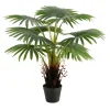 Wide Reach Tree Fern In Black Planter-Kirkland's Home Cheap
