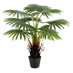 Wide Reach Tree Fern In Black Planter-Kirkland's Home Cheap