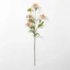Wild Daisy Stem-Kirkland's Home Hot