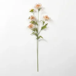 Wild Daisy Stem-Kirkland's Home Hot