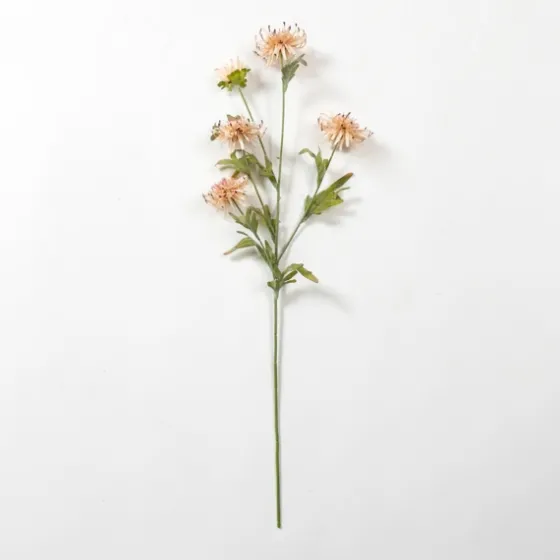 Wild Daisy Stem-Kirkland's Home Hot