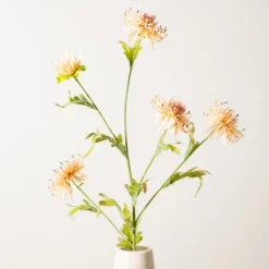 Wild Daisy Stem-Kirkland's Home Hot
