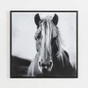 Wild Horse Framed Canvas Art Print-Kirkland's Home New