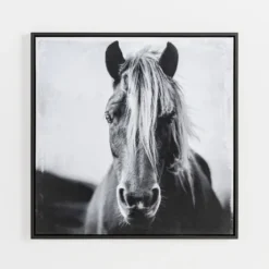 Wild Horse Framed Canvas Art Print-Kirkland's Home New