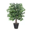 Wood Trunk Ficus Bush In Rattan Basket-Kirkland's Home Outlet