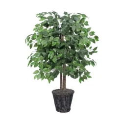 Wood Trunk Ficus Bush In Rattan Basket-Kirkland's Home Outlet