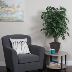 Wood Trunk Ficus Bush In Rattan Basket-Kirkland's Home Outlet