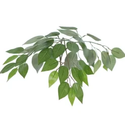 Wood Trunk Ficus Bush In Rattan Basket-Kirkland's Home Outlet