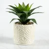 Yucca Plant In Ceramic Planter-Kirkland's Home Online