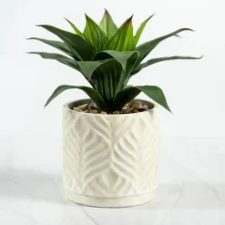 Yucca Plant In Ceramic Planter-Kirkland's Home Online