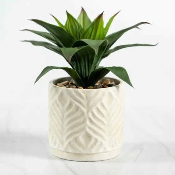 Yucca Plant In Ceramic Planter-Kirkland's Home Online