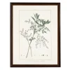 Zanthorhiza Greenery Black Beaded Framed Art Print-Kirkland's Home Fashion