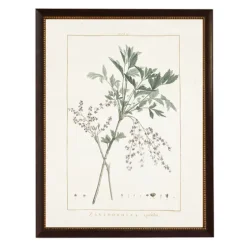 Zanthorhiza Greenery Black Beaded Framed Art Print-Kirkland's Home Fashion
