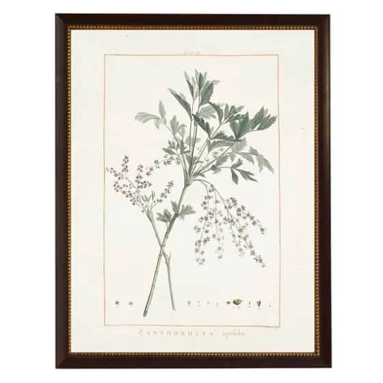 Zanthorhiza Greenery Black Beaded Framed Art Print-Kirkland's Home Fashion